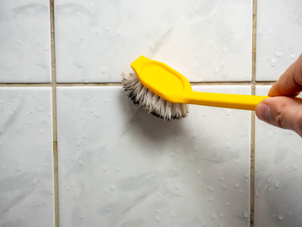 Best Kitchen Mold Remediation in Underwood, IA